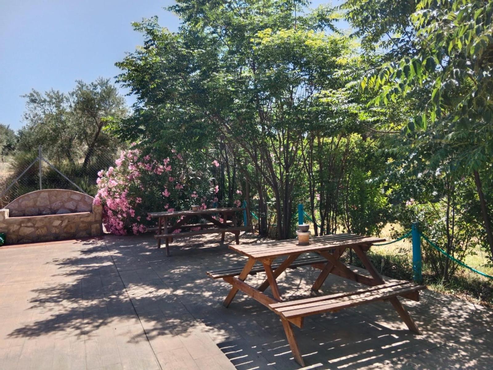 Finca Los Villegas Castril Εξωτερικό φωτογραφία